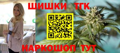эйфоретик Кингисепп