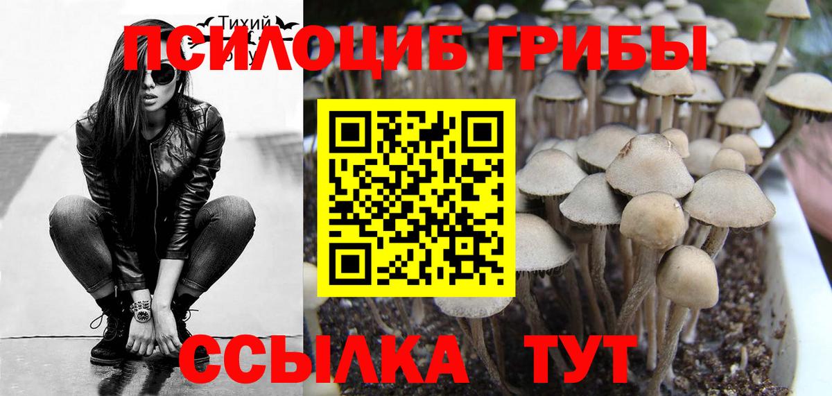 Чайковский  Галлюциногенные грибы мицелий  Вход с VPN 